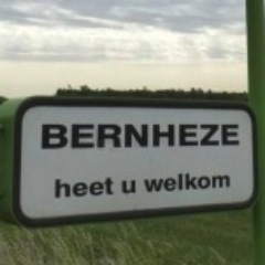 bernheze's profile picture. 