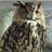lucyjan57651841's profile image