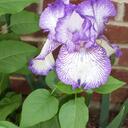 LaDonna Perry - @ladpperry - Twitter