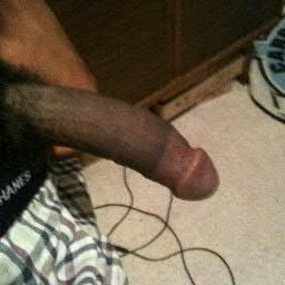 NekoNekosudan's profile picture. 