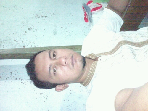 alvinmaharani's profile picture. 