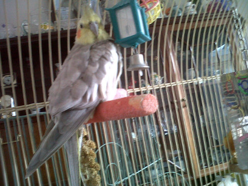 Just love tweeting