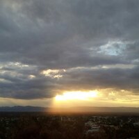 rosemarie steiner (@posie76) 's Twitter Profile