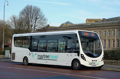 Maytree Travel Profile