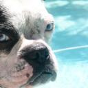 chris cuevas - @cuevas108 - Twitter