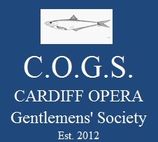 Cardiff Opera GS
