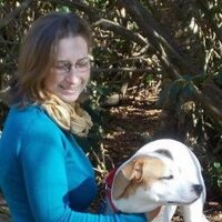 Anne Koontz (@findingnrg) 's Twitter Profile
