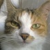 S. Barbaroux G. (@barbarouxg) Twitter profile photo