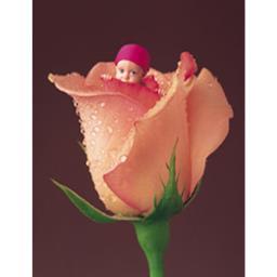 asvs30's profile picture. :-)