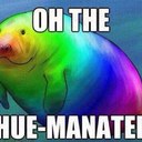 Kelly Simms - @KellySimms - Twitter