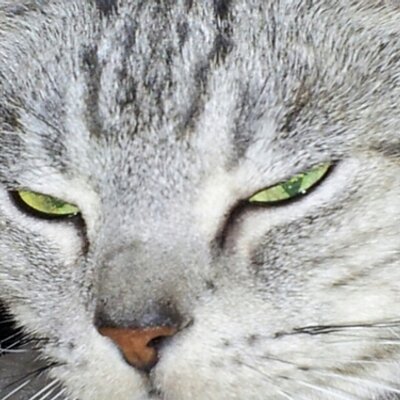 中島しげき Wowowから又良質なドラマが 配達されたい私たち ヒトリシズカ が素晴らし過ぎて 以降イマイチなのが続いていたが これはドラマwにしては珍しくハートフルな内容なのも新鮮 実際に鬱病経験のある原作者が自ら脚本を手掛けたのも興味深い 中島しげき Wowowから又良質なドラマが 配達されたい私たち ヒトリシズカ が素晴らし過ぎて 以降イマイチなのが続いていたが これはドラマwにしては珍しくハートフルな内容なのも新鮮 実際に鬱病経験のある原作者が自ら脚本を手掛けたのも興味深い