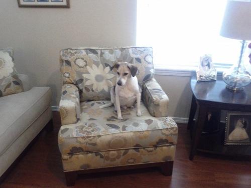 Machuchar47's profile picture. 