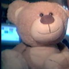 A handsome, cute and cuddly gaming bear, our 