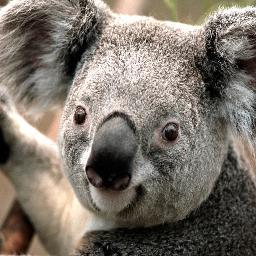 qatesting7's profile picture. 