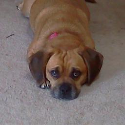 cohlandavizma's profile picture. 