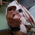 R Iszler (@iszler_robin) Twitter profile photo