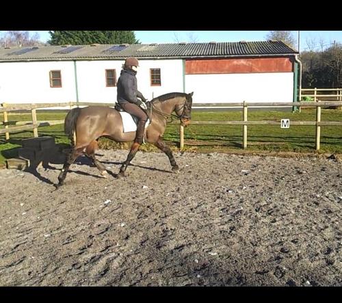 popeyy_h's profile picture. 