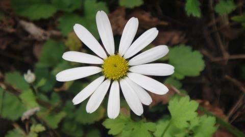 yjkim7890's profile picture. 