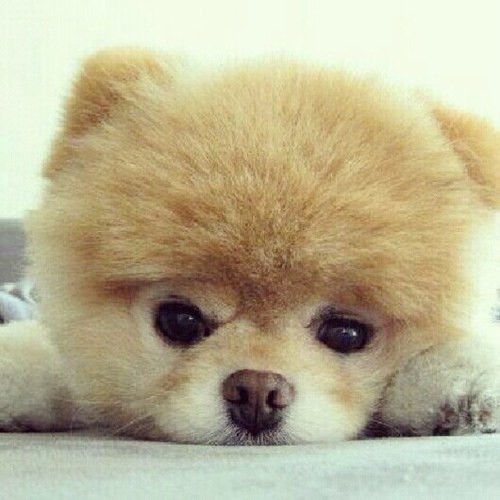 crysvidal's profile picture. 