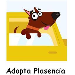 Adopta Plasencia es una Asociación Protectora de Animales sin ánimo de lucro, con sede en Plasencia, pero de ámbito provincial