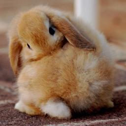 My body is formed out of stardust. 
I want a unicorn. I'll bite. I've got sable hair and my dreams are opulent.Thrice as whimsical;♥