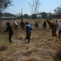 Cotrad Trust (@cotradtrustzim) 's Twitter Profile