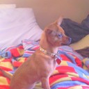 Jamison laderoute - @JamisonL1987 - Twitter