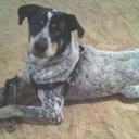 Lisa Napper - @lisa_napper - Twitter