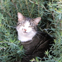 Debra Lamp - @DebraLamp - Twitter