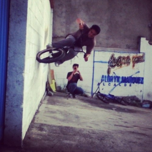 jodmer's profile picture. 