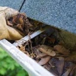 AllOutRainGutte's profile picture. We Go All Out to Get it All Out of your Rain Gutters! (801) 370-0708