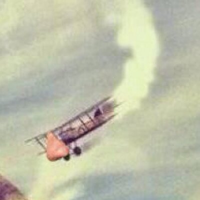 Profile Picture of Brian Bufford's Nose (@OfficialBigNose) on Twitter