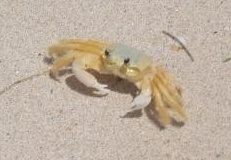 weatherbie's profile picture. 