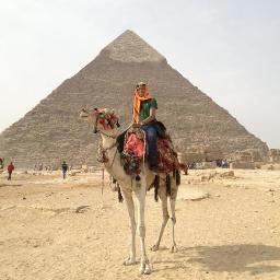 davidv3ra's profile picture. Leyendo tweets desde el '08