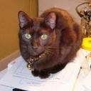 Sandra Greenfield - @SandraGreenfie1 - Twitter