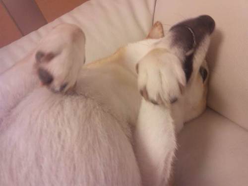 睡眠大事にしたいみたいなそんなかんじ