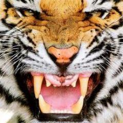 DEMOART7771's profile picture. Видеоблоггер на You Tube 
Снимаю обзоры о технике Apple