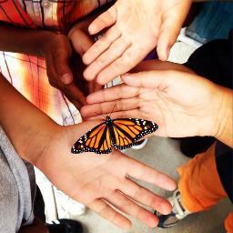 CHBullockSchool's profile picture. Montclair NJ's only Environmental Science Magnet. Tweets from the Principal. Follows do not represent endorsement.