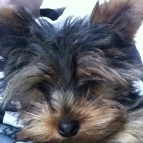 BammKinect's profile picture. Wichard~#hv1g~#hlml~hoofddorp