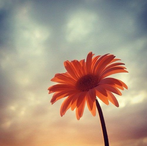 Ambitious and hopeful..