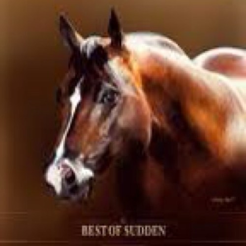 AQHAways's profile picture. Everyday life at the shows #TeamAQHA