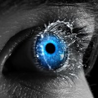 Interesting Things (@interes_things) 's Twitter Profile