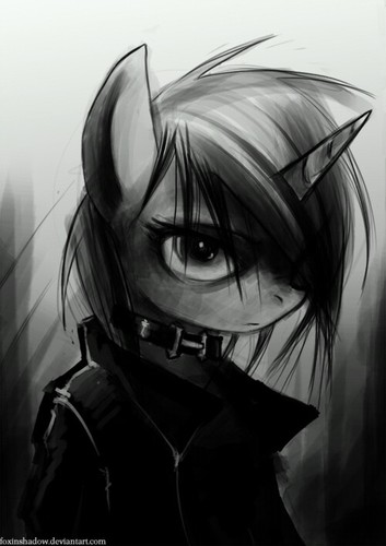 All go to @North_Ponys To Check out my new Up Comming Tv Show Midnight Falls New Comming To The Hub 2013