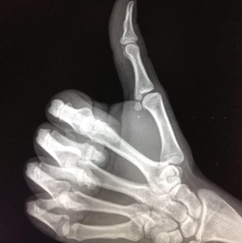 robertgzzdmz's profile picture. 