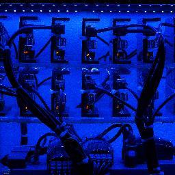 RasPiComputer's profile picture. 