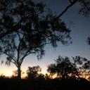 Tamara Pinto - @Tami_Pinto - Twitter