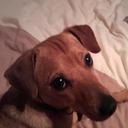 Marc Stafford - @m_stafford777 - Twitter