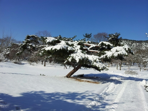 산골마을 출신, 평범한 학창시절, 자유와 정의를 위하여, 안되면 될때까지, 반공방첩, 부강하고 안전한 대한민국을 꿈꾸며, 아~~고구려!!