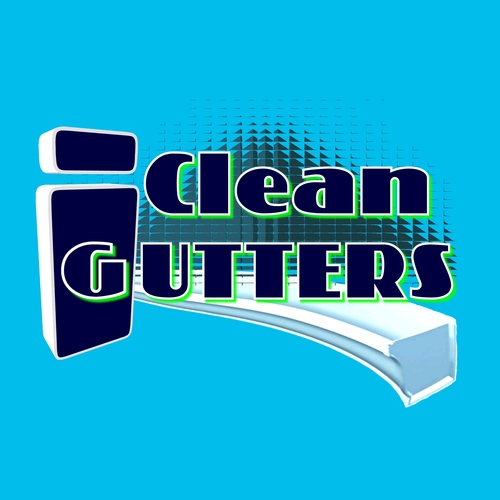 I Clean Gutters and I have been doing gutter cleaning, roof cleaning and installation for 16 years.