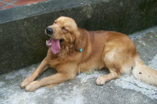 VeraGolik's profile picture. 